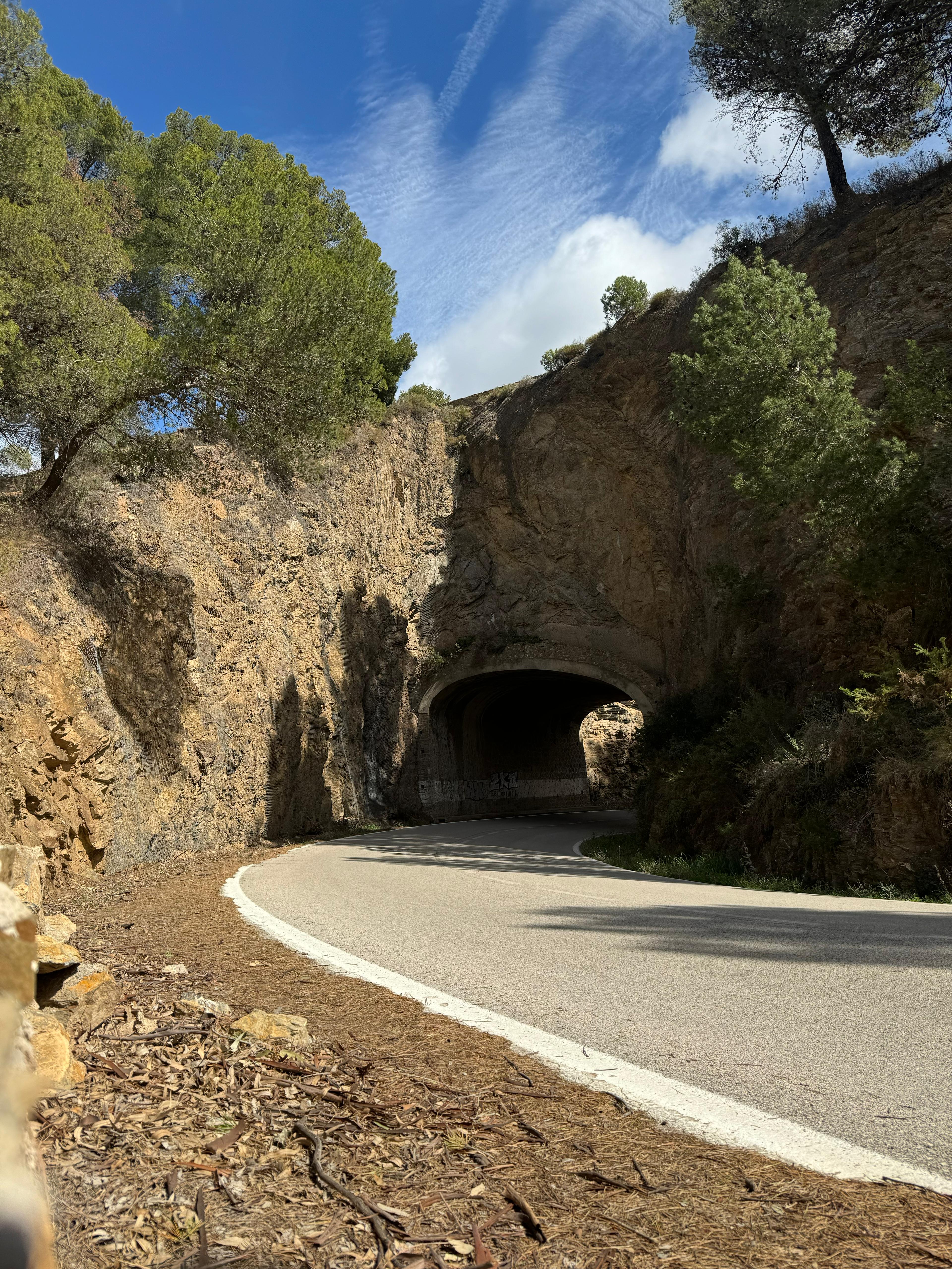 Image 12